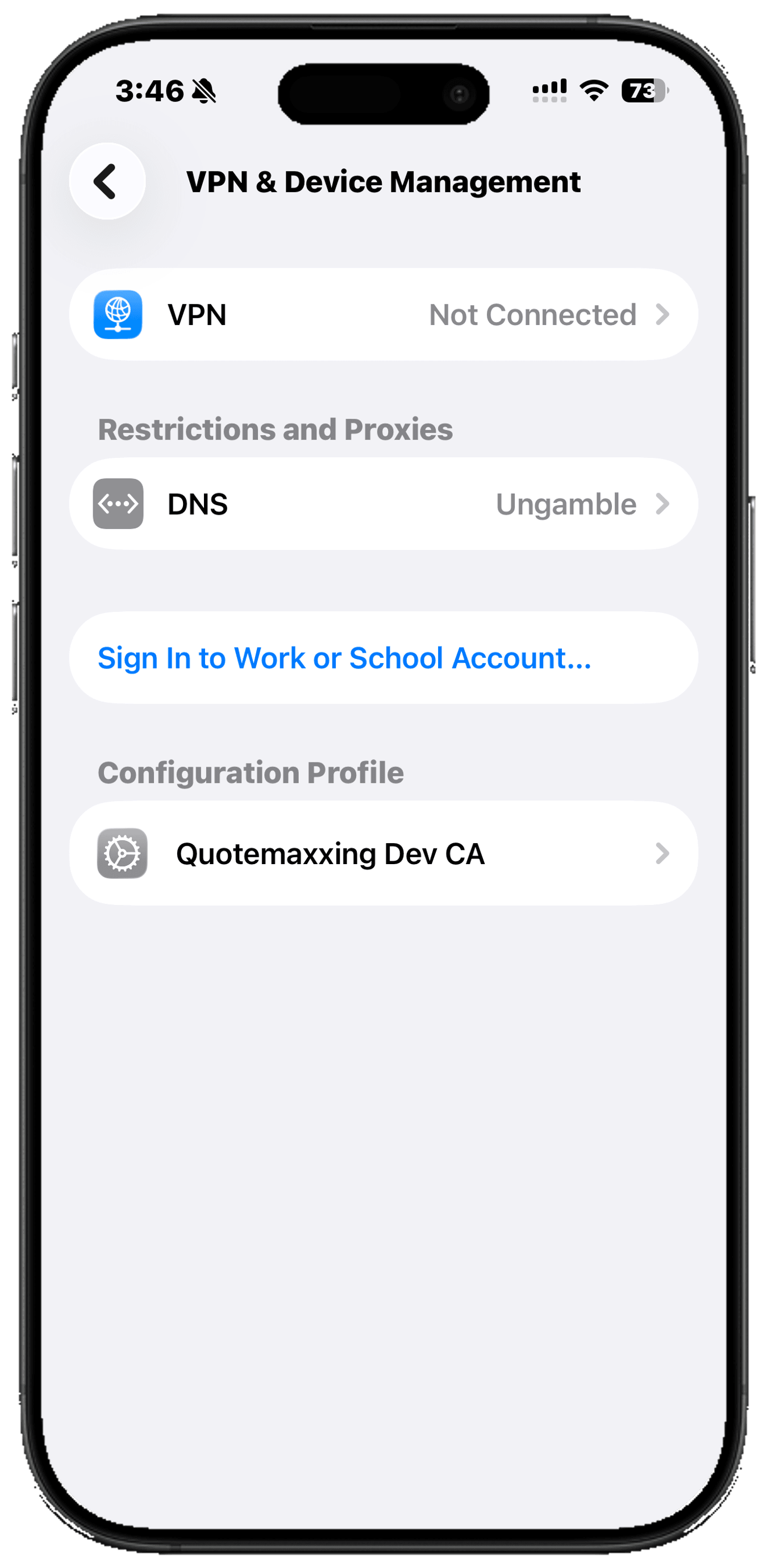 The iPhone VPN & Device Management screen with the DNS row under Restrictions and Proxies